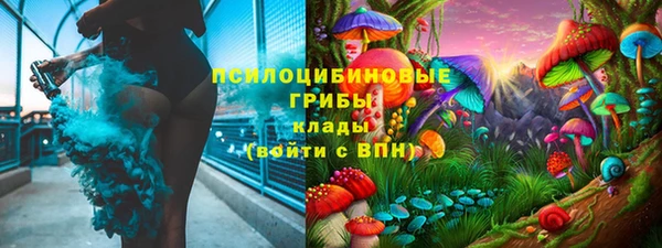 МДПВ Липки