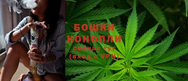 ГАЛЛЮЦИНОГЕННЫЕ ГРИБЫ Лиски