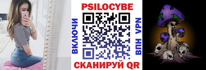 закладки  Советск  Псилоцибиновые грибы мухоморы 
